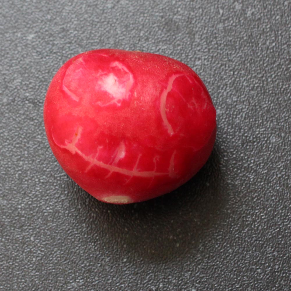 radish with face